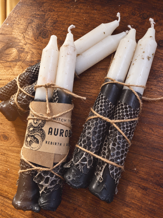 Auroborus Rebirth Intention Candles